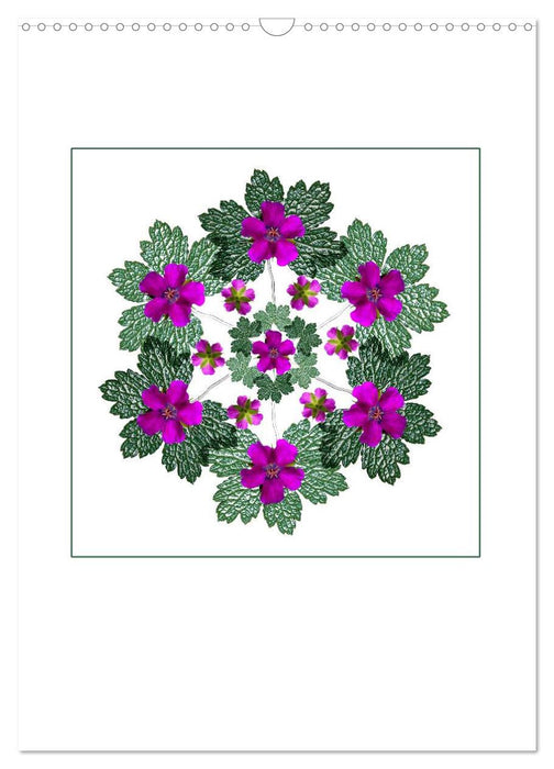 Pflanzen - Mandalas aus Blüten und Blättern (CALVENDO Wandkalender 2025)