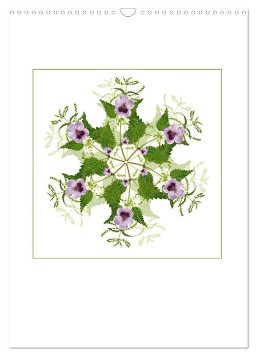 Pflanzen - Mandalas aus Blüten und Blättern (CALVENDO Wandkalender 2025)