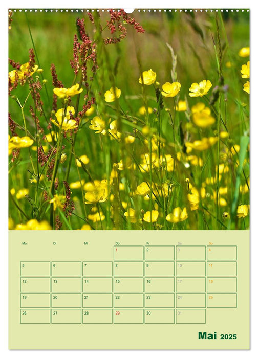 Wald- und Wiesenkalender 2025 Planer (CALVENDO Wandkalender 2025)