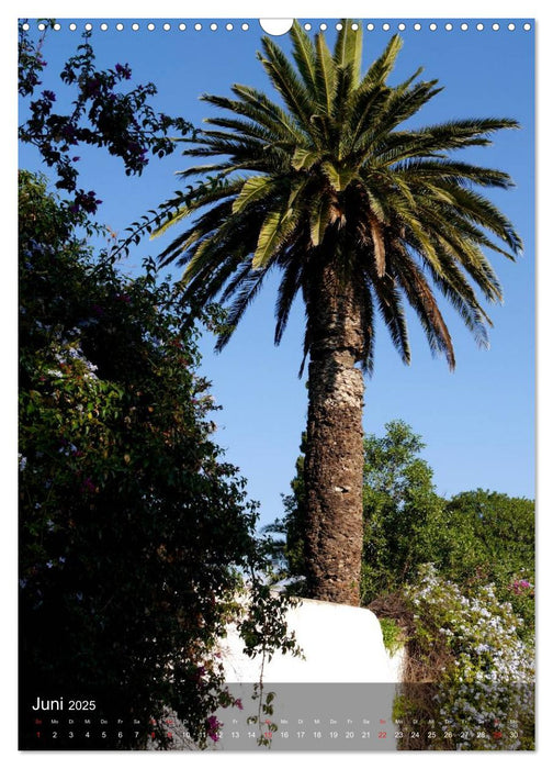 Sidi bou Saïd - Die blaue Stadt Tunesiens (CALVENDO Wandkalender 2025)