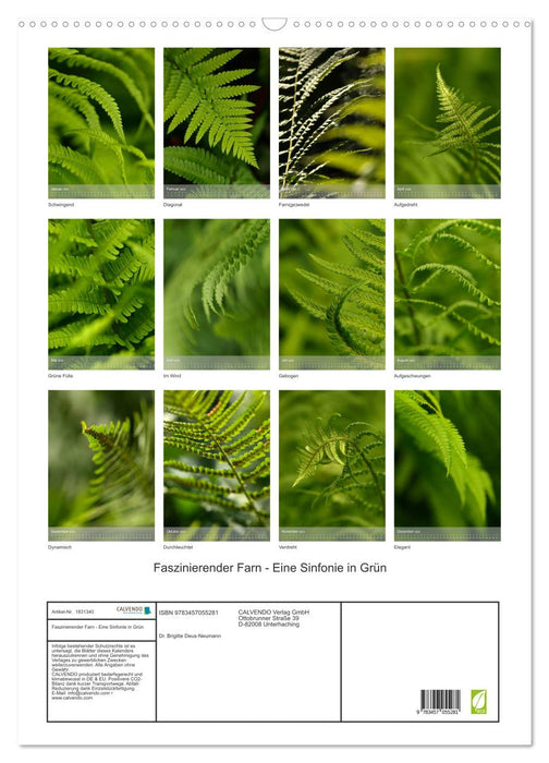Faszinierender Farn - Eine Sinfonie in Grün (CALVENDO Wandkalender 2025)