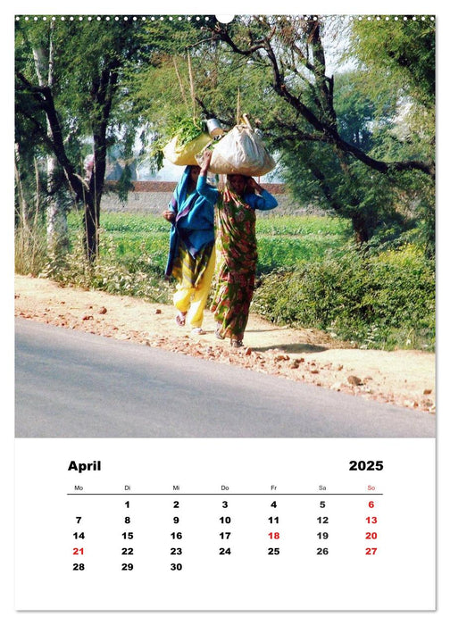 Indien erleben (CALVENDO Wandkalender 2025)
