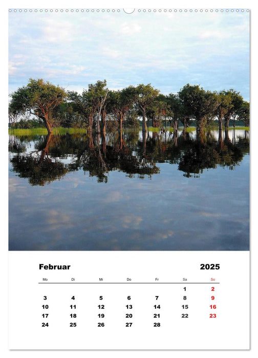 Brasilien - Amazonien bis Iguaçu (CALVENDO Wandkalender 2025)