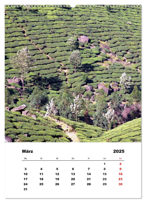 In Kerala (CALVENDO Wandkalender 2025)