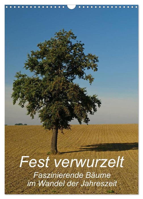 Fest verwurzelt - Faszinierende Bäume im Wandel der Jahreszeit (CALVENDO Wandkalender 2025)