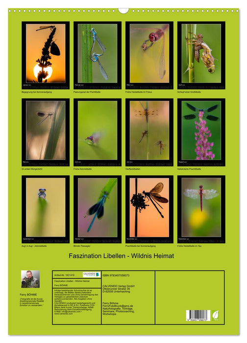 Faszination Libellen - Wildnis Heimat (CALVENDO Wandkalender 2025)