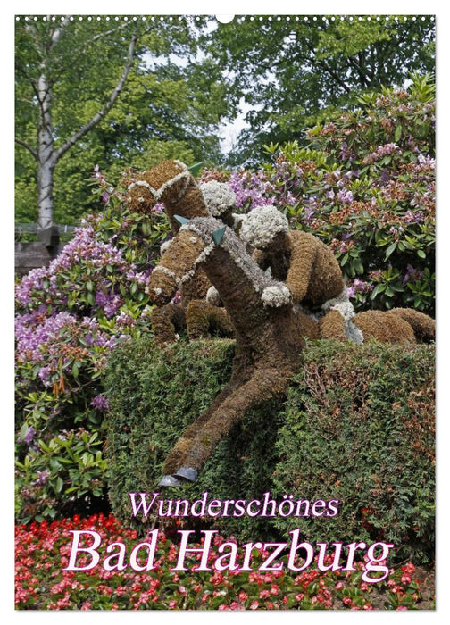 Wunderschönes Bad Harzburg (CALVENDO Wandkalender 2025)