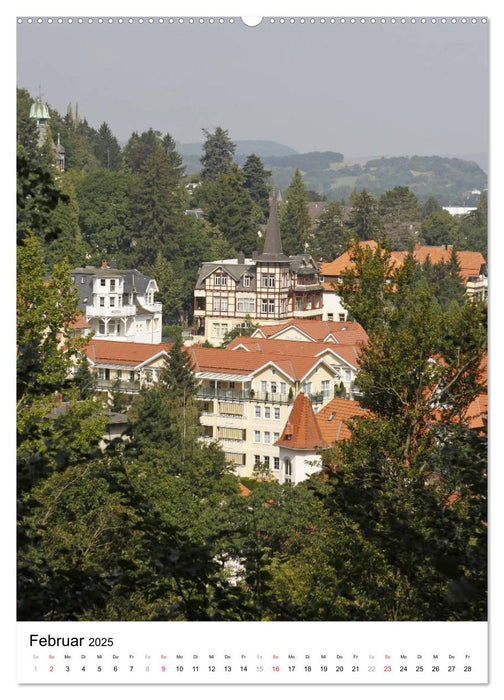 Wunderschönes Bad Harzburg (CALVENDO Wandkalender 2025)