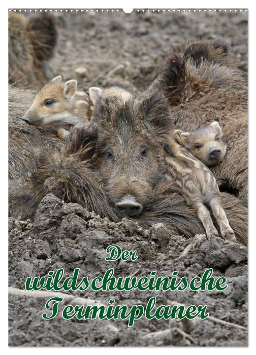 Der wildschweinische Terminplaner (CALVENDO Wandkalender 2025)