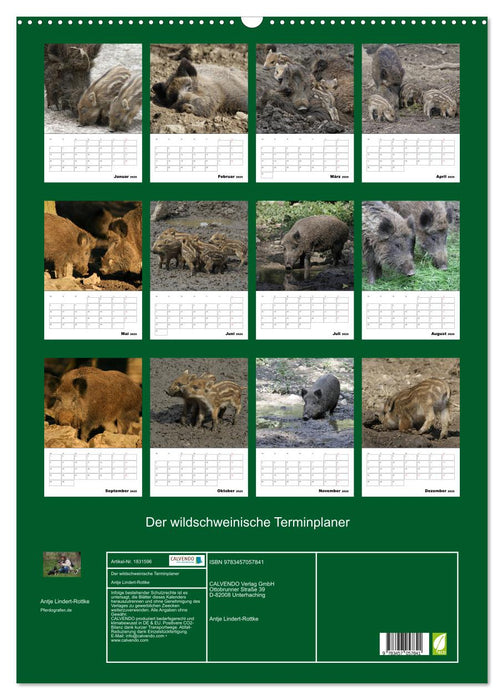 Der wildschweinische Terminplaner (CALVENDO Wandkalender 2025)