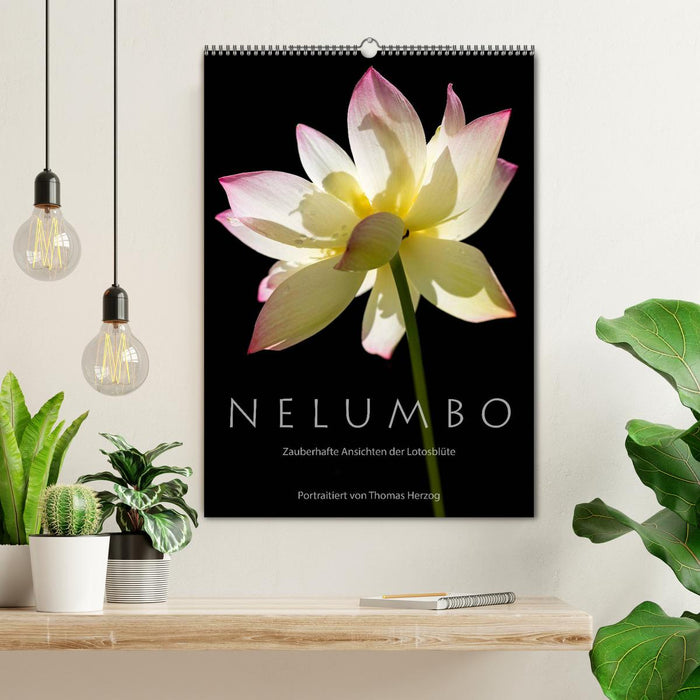 N E L U M B O – Zauberhafte Ansichten der Lotosblüte (CALVENDO Wandkalender 2025)