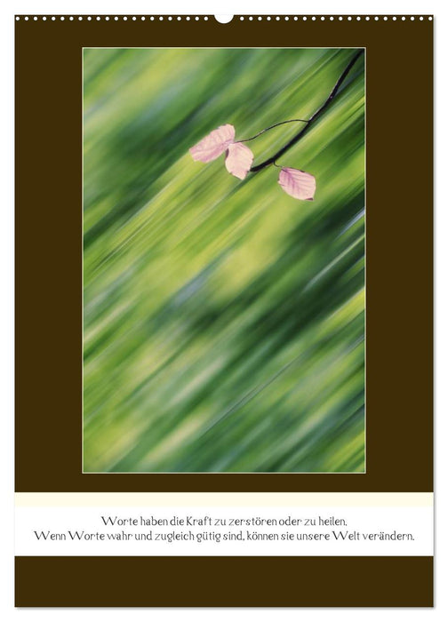 Der Buddhistische Weisheiten Kalender (CALVENDO Wandkalender 2025)