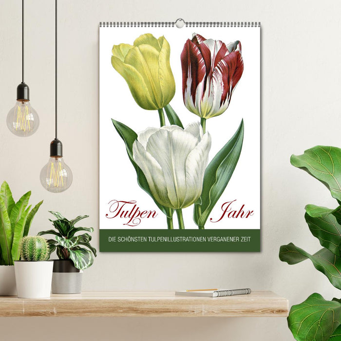 Tulpen - Jahr (CALVENDO Wandkalender 2025)