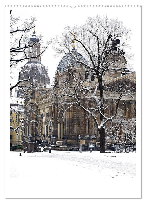 Bilder aus Dresden (CALVENDO Wandkalender 2025)