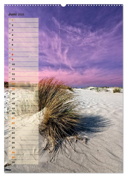 Zwischen Dünen und Watt / Geburtstagskalender (CALVENDO Wandkalender 2025)