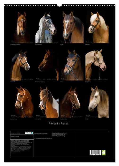 Pferde im Portait (CALVENDO Wandkalender 2025)