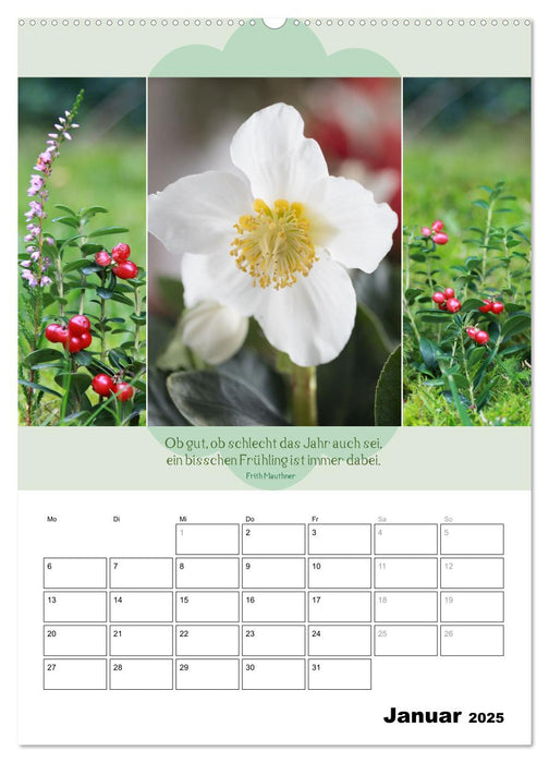 Naturpoesie und Harmonie (CALVENDO Wandkalender 2025)