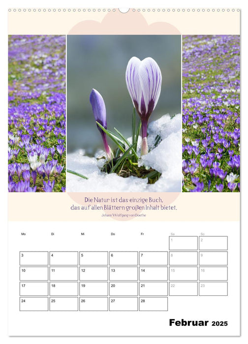 Naturpoesie und Harmonie (CALVENDO Wandkalender 2025)