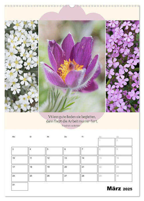 Naturpoesie und Harmonie (CALVENDO Wandkalender 2025)