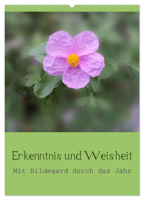 Erkenntnis und Weisheit - Hildegard von Bingen (CALVENDO Wandkalender 2025)