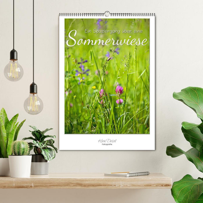 Ein Spaziergang über eine Sommerwiese (CALVENDO Wandkalender 2025)