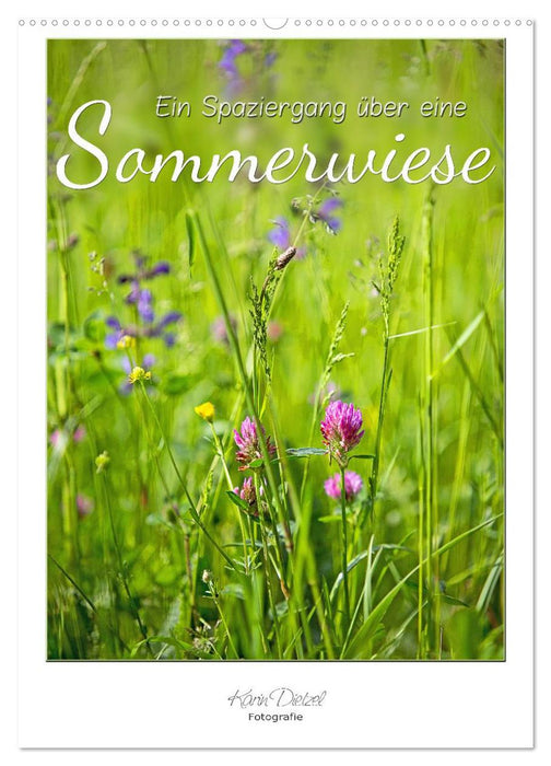 Ein Spaziergang über eine Sommerwiese (CALVENDO Wandkalender 2025)