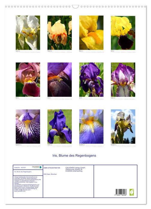 Iris, Blume des Regenbogens (CALVENDO Wandkalender 2025)