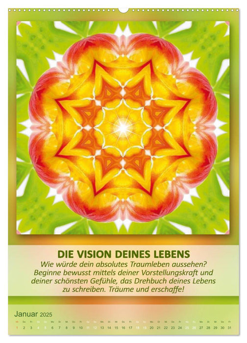 Light Energy Mandalas - Kalender - Vol. 2 (CALVENDO Wandkalender 2025)