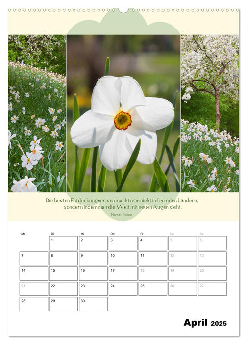 Naturpoesie und Harmonie (CALVENDO Premium Wandkalender 2025)