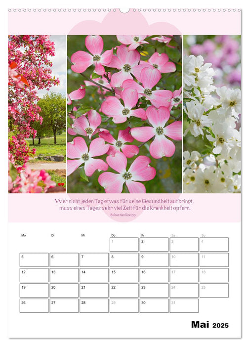 Naturpoesie und Harmonie (CALVENDO Premium Wandkalender 2025)