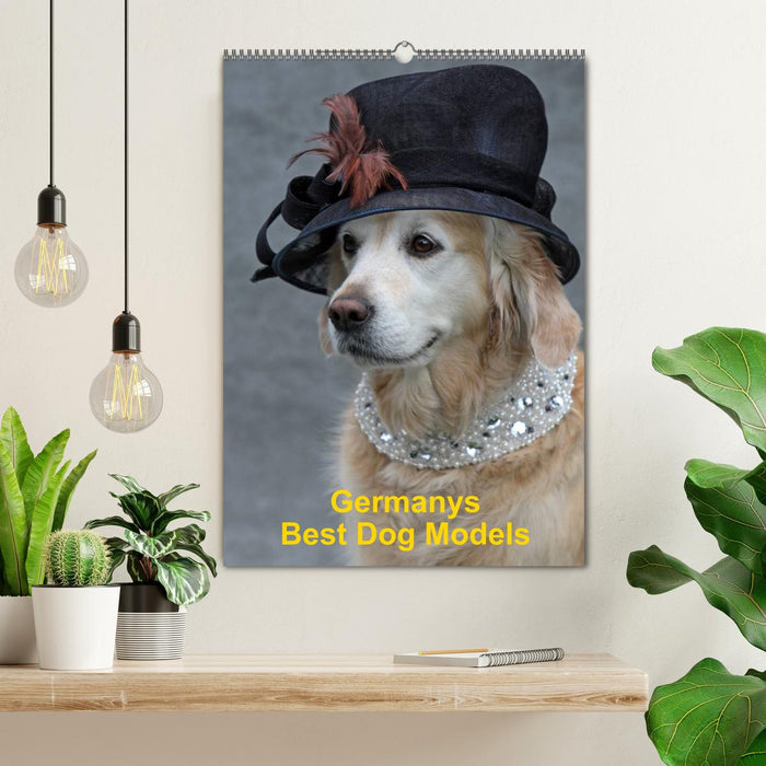 Germanys Best Dog Models - gestylte Labrador und Golden Retriever (CALVENDO Wandkalender 2025)