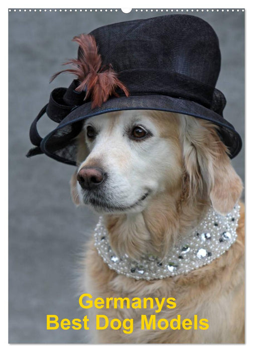 Germanys Best Dog Models - gestylte Labrador und Golden Retriever (CALVENDO Wandkalender 2025)