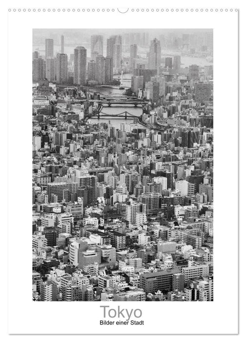 Tokyo - Bilder einer Stadt (CALVENDO Wandkalender 2025)