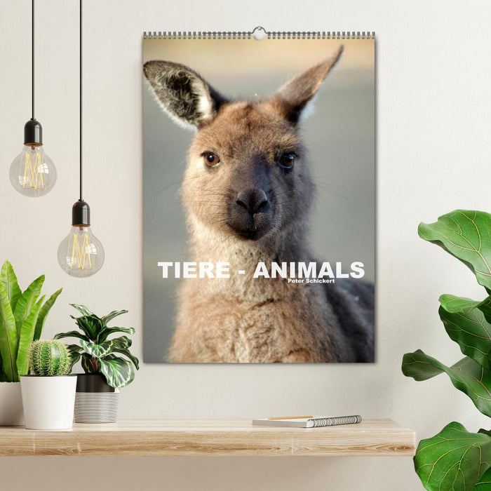 Tiere - Animals (CALVENDO Wandkalender 2025)