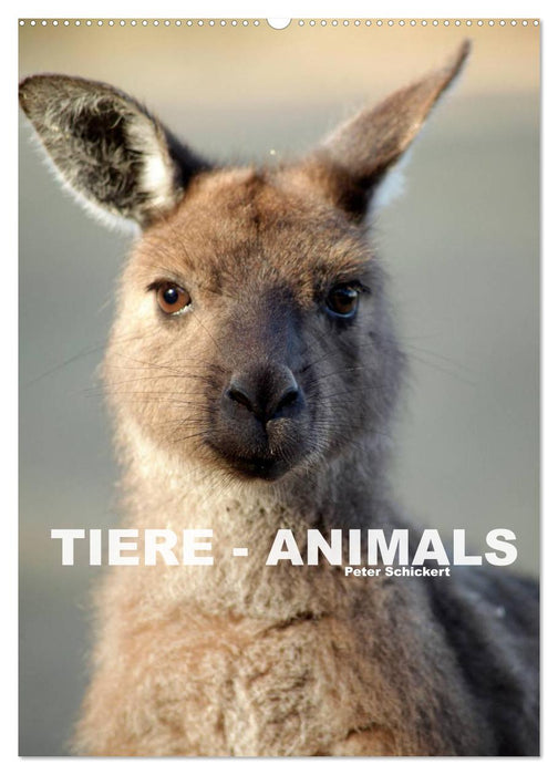 Tiere - Animals (CALVENDO Wandkalender 2025)