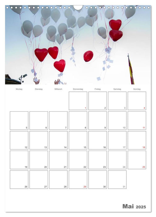 Mein Hochzeitsplaner für das ganze Jahr. (CALVENDO Wandkalender 2025)