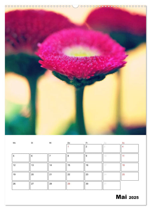 Zauberhafte Blütenwelt / Planer (CALVENDO Wandkalender 2025)