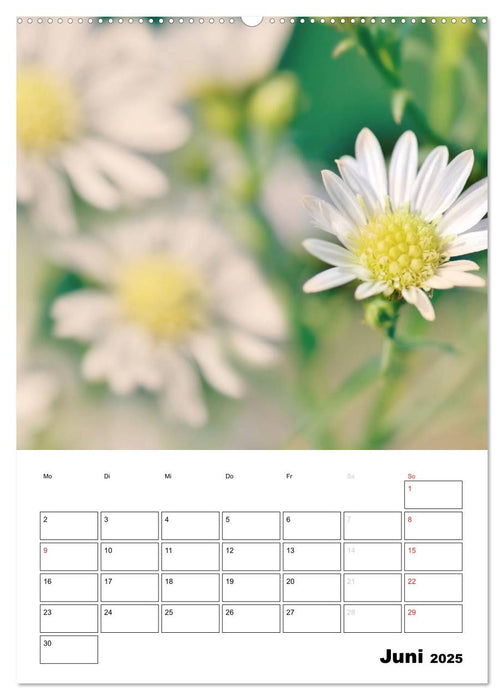 Zauberhafte Blütenwelt / Planer (CALVENDO Wandkalender 2025)
