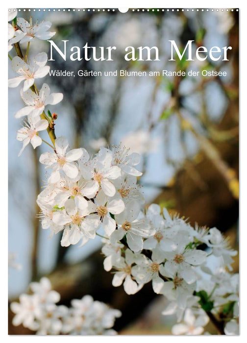 Natur am Meer - Wälder, Gärten und Blumen am Rande der Ostsee (CALVENDO Wandkalender 2025)