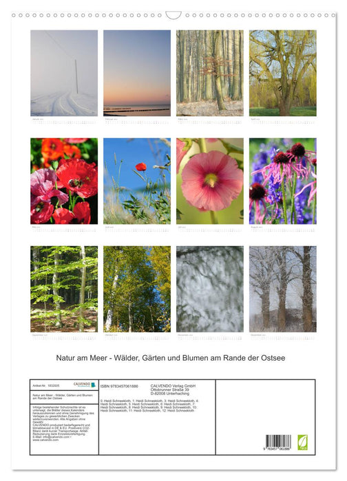 Natur am Meer - Wälder, Gärten und Blumen am Rande der Ostsee (CALVENDO Wandkalender 2025)