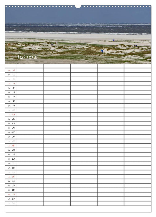 Urlaubsparadies Amrum / Familienplaner (CALVENDO Wandkalender 2025)