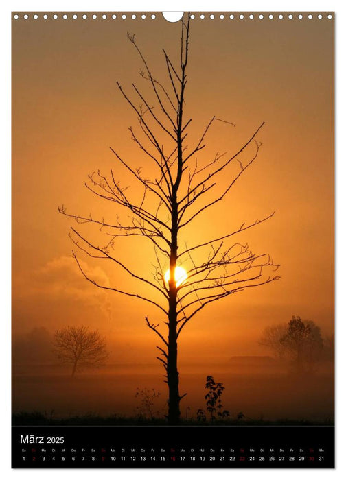 Bäume - Stimmungsvoll durchs Jahr (CALVENDO Wandkalender 2025)