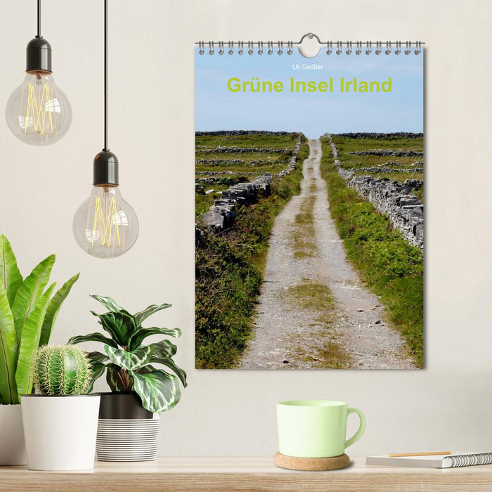 Grüne Insel Irland / Planer (CALVENDO Wandkalender 2025)