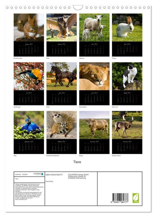 Tiere (CALVENDO Wandkalender 2025)