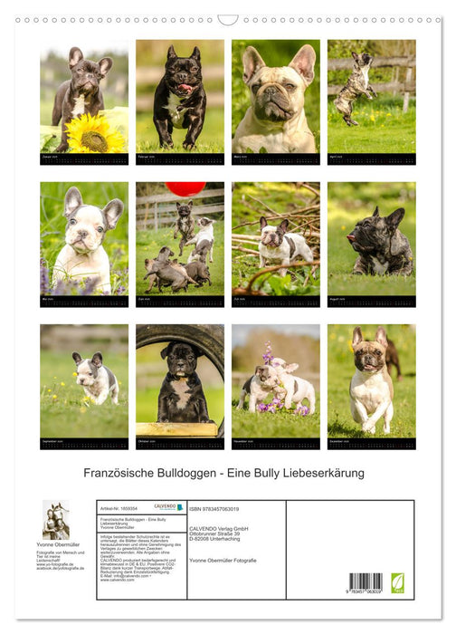 Französische Bulldoggen - Eine Bully Liebeserkärung (CALVENDO Wandkalender 2025)