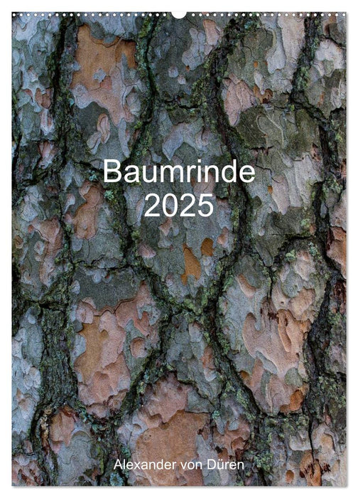 Baumrinde 2025 (CALVENDO Wandkalender 2025)