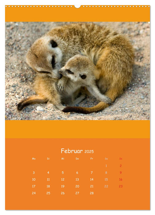 Tierkinder (CALVENDO Wandkalender 2025)