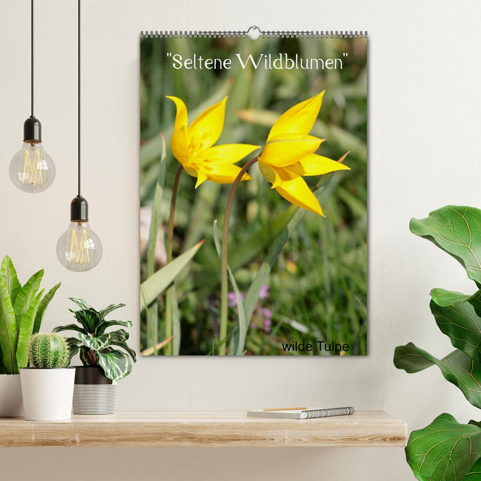 Seltene Wildblumen (CALVENDO Wandkalender 2025)