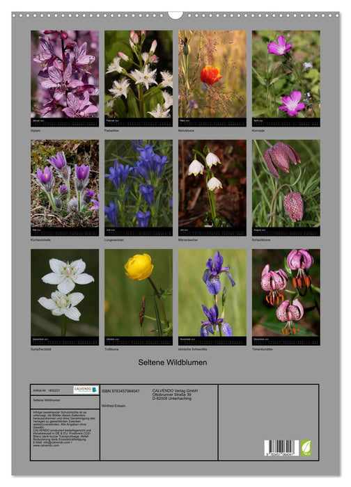 Seltene Wildblumen (CALVENDO Wandkalender 2025)
