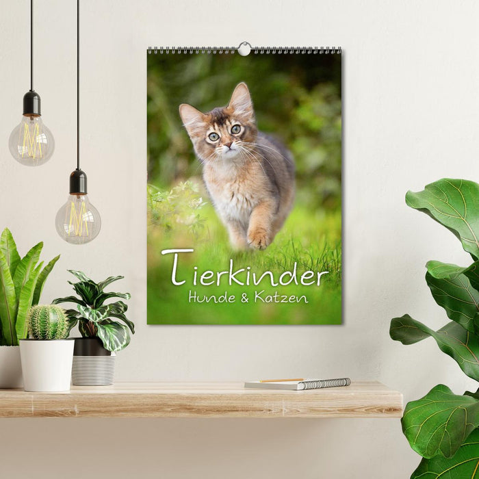 Tierkinder Hunde und Katzen (CALVENDO Wandkalender 2025)